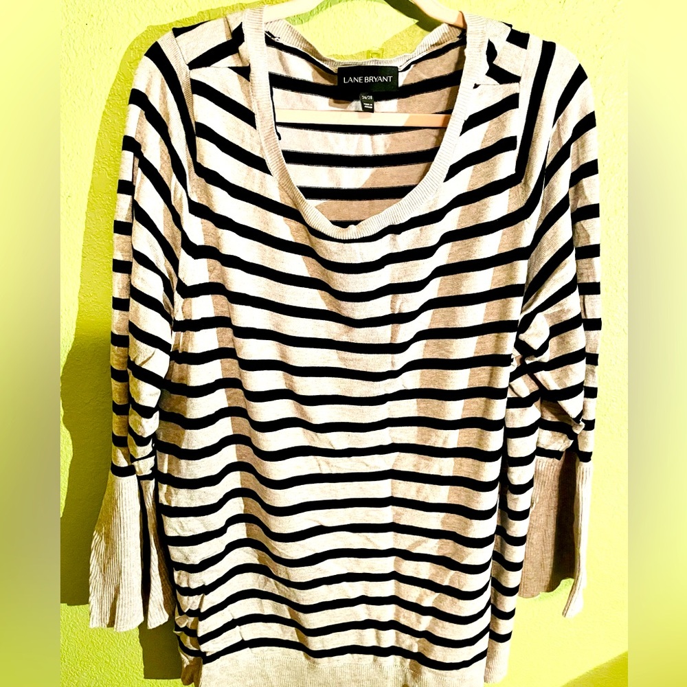 Top/Sweater (Lane Bryant)